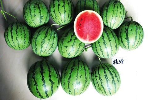 南宁财经吃瓜,揭秘吃瓜群众的财经热点追踪-第1张图片-网曝911黑料热点事件 南宁财经吃瓜,揭秘吃瓜群众的财经热点追踪-第1张图片-网曝911黑料热点事件