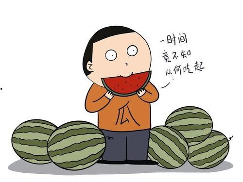 英语rap吃瓜,Rapping Through the Gossip: A Rap Culture Perspective on the Great 'Eating Watermelons' Debate-第1张图片-网曝911黑料热点事件