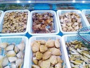 瓜沥吃的展会,一场味蕾与文化的碰撞展会概览-第2张图片-网曝911黑料热点事件 瓜沥吃的展会,一场味蕾与文化的碰撞展会概览-第2张图片-网曝911黑料热点事件