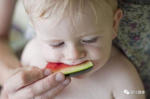 狐狸宝宝吃瓜,狐狸宝宝欢乐吃瓜记-第1张图片-网曝911黑料热点事件