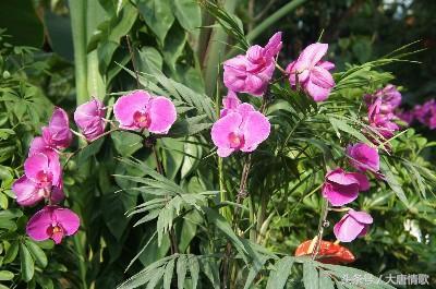 闺蜜吃瓜局-第1张图片-网曝911黑料热点事件 闺蜜吃瓜局-第1张图片-网曝911黑料热点事件