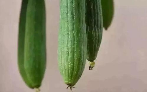 琳宝吃瓜,揭秘娱乐圈那些不为人知的幕后故事-第3张图片-网曝911黑料热点事件 琳宝吃瓜,揭秘娱乐圈那些不为人知的幕后故事-第3张图片-网曝911黑料热点事件