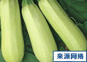角瓜产妇可以吃吗,产妇适宜食用的营养佳品-第3张图片-网曝911黑料热点事件 角瓜产妇可以吃吗,产妇适宜食用的营养佳品-第3张图片-网曝911黑料热点事件