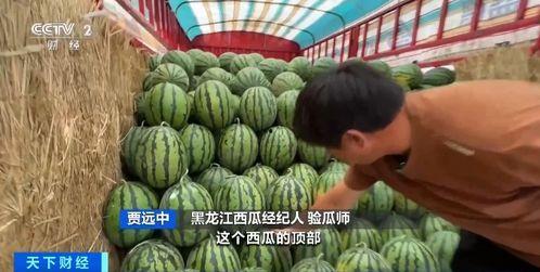 雷龙圈吃瓜,揭秘娱乐圈背后的秘密与八卦-第2张图片-网曝911黑料热点事件 雷龙圈吃瓜,揭秘娱乐圈背后的秘密与八卦-第2张图片-网曝911黑料热点事件