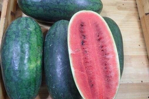 吃瓜青岛,探寻吃瓜者的天堂-第1张图片-网曝911黑料热点事件 吃瓜青岛,探寻吃瓜者的天堂-第1张图片-网曝911黑料热点事件