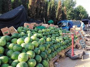 吃瓜青岛,探寻吃瓜者的天堂-第3张图片-网曝911黑料热点事件 吃瓜青岛,探寻吃瓜者的天堂-第3张图片-网曝911黑料热点事件