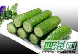 荷兰瓜减肥怎么吃,科学搭配,轻松享瘦饮食指南-第2张图片-网曝911黑料热点事件 荷兰瓜减肥怎么吃,科学搭配,轻松享瘦饮食指南-第2张图片-网曝911黑料热点事件