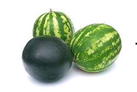 金石吃瓜事件,揭秘娱乐圈幕后风波-第3张图片-网曝911黑料热点事件 金石吃瓜事件,揭秘娱乐圈幕后风波-第3张图片-网曝911黑料热点事件