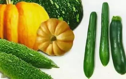 画桡吃瓜,一场视觉与味觉的盛宴-第3张图片-网曝911黑料热点事件 画桡吃瓜,一场视觉与味觉的盛宴-第3张图片-网曝911黑料热点事件