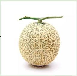 吃瓜鉴赏方法,解锁美食鉴赏新境界-第1张图片-网曝911黑料热点事件 吃瓜鉴赏方法,解锁美食鉴赏新境界-第1张图片-网曝911黑料热点事件