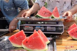 山东最新吃瓜视频,揭秘当地热门事件幕后真相-第1张图片-网曝911黑料热点事件 山东最新吃瓜视频,揭秘当地热门事件幕后真相-第1张图片-网曝911黑料热点事件