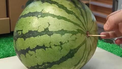 山东最新吃瓜视频,揭秘当地热门事件幕后真相-第3张图片-网曝911黑料热点事件 山东最新吃瓜视频,揭秘当地热门事件幕后真相-第3张图片-网曝911黑料热点事件