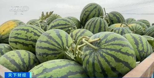 吃瓜早晨,揭秘娱乐圈最新热点事件-第1张图片-网曝911黑料热点事件 吃瓜早晨,揭秘娱乐圈最新热点事件-第1张图片-网曝911黑料热点事件