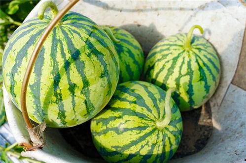 吃瓜早晨,揭秘娱乐圈最新热点事件-第3张图片-网曝911黑料热点事件 吃瓜早晨,揭秘娱乐圈最新热点事件-第3张图片-网曝911黑料热点事件