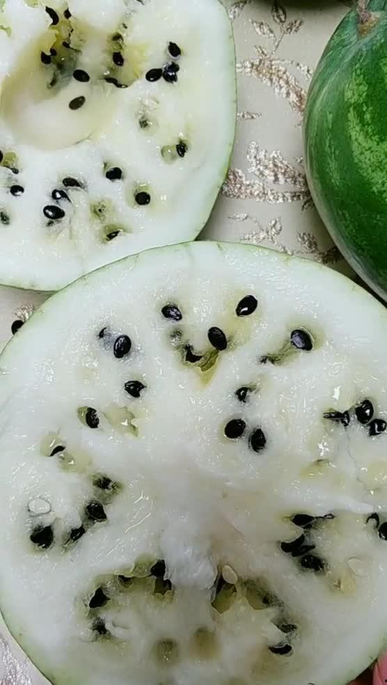 吃东北的瓜,品味东北特色美食之旅-第2张图片-网曝911黑料热点事件 吃东北的瓜,品味东北特色美食之旅-第2张图片-网曝911黑料热点事件