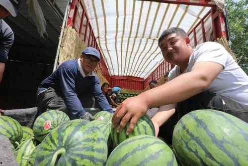 吃瓜河北铺,一场别开生面的乡村盛宴-第2张图片-网曝911黑料热点事件