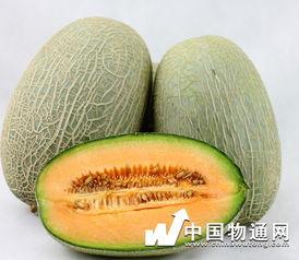 吃哈密瓜能吃牛肉-第3张图片-网曝911黑料热点事件