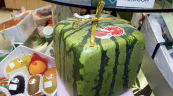 吃瓜不吃串,探寻美食背后的独特文化现象-第3张图片-网曝911黑料热点事件