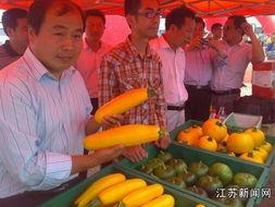 吃瓜卖瓜致富-第3张图片-网曝911黑料热点事件 吃瓜卖瓜致富-第3张图片-网曝911黑料热点事件