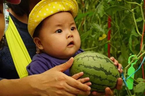 吃瓜群求,网络社交新现象背后的故事-第3张图片-网曝911黑料热点事件