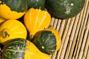 想吃瓜吃自家的瓜,尽享丰收滋味-第3张图片-网曝911黑料热点事件