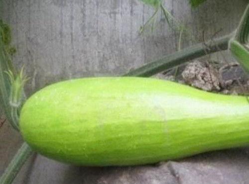 砍瓜怎么吃视频,视频教你轻松美味享受-第3张图片-网曝911黑料热点事件