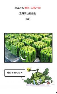 如何全网吃瓜-第1张图片-网曝911黑料热点事件