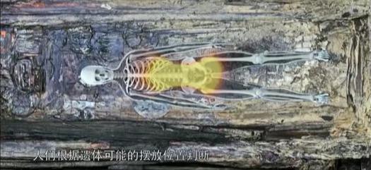 辛追吃瓜死亡,一场悲剧引发的食品安全警钟-第3张图片-网曝911黑料热点事件 辛追吃瓜死亡,一场悲剧引发的食品安全警钟-第3张图片-网曝911黑料热点事件