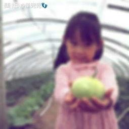 今晚8点吃瓜,今晚8点,一起品尝这场精彩“瓜宴”-第3张图片-网曝911黑料热点事件 今晚8点吃瓜,今晚8点,一起品尝这场精彩“瓜宴”-第3张图片-网曝911黑料热点事件