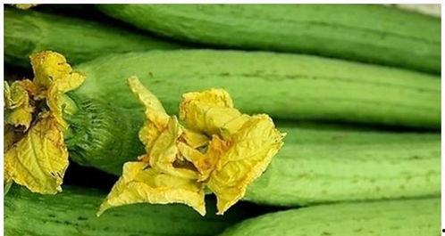 远离吃瓜的图片,拥抱宁静——远离吃瓜者的生活哲学-第1张图片-网曝911黑料热点事件