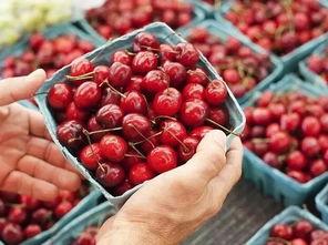 樱桃在线吃瓜群,揭秘网络社交圈的趣味与争议-第3张图片-网曝911黑料热点事件