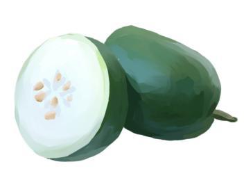 吃mm瓜,口感与营养的双重享受-第2张图片-网曝911黑料热点事件