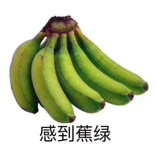 焦虑症可以吃瓜-第2张图片-网曝911黑料热点事件 焦虑症可以吃瓜-第2张图片-网曝911黑料热点事件