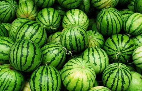 四环吃瓜,揭秘娱乐圈背后的那些事儿-第3张图片-网曝911黑料热点事件