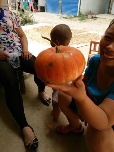 一二布布吃瓜-第1张图片-网曝911黑料热点事件