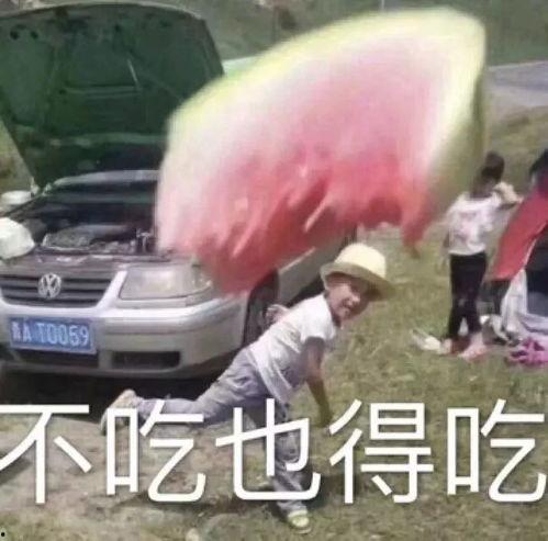 吃瓜小熊舅舅,揭秘娱乐圈背后的那些事儿-第1张图片-网曝911黑料热点事件