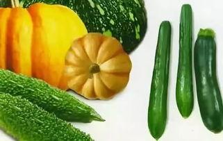 形容夏季吃瓜,清凉一“瓜”解千愁-第3张图片-网曝911黑料热点事件