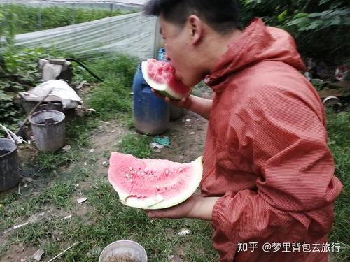 摆地摊猜拳吃瓜-第3张图片-网曝911黑料热点事件