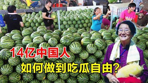 最贵的吃瓜视频-第3张图片-网曝911黑料热点事件