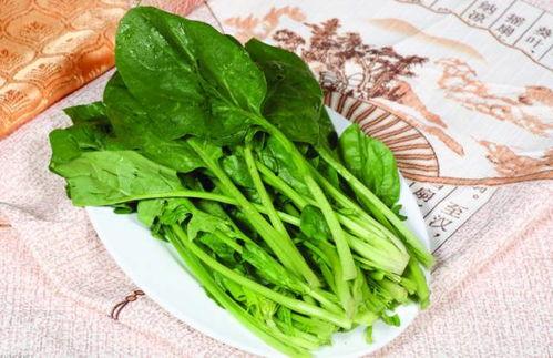 瓜叶菜怎么吃,探索健康美味的烹饪之道-第2张图片-网曝911黑料热点事件