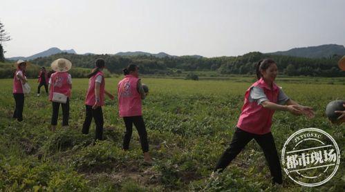 抚州吃瓜视频,揭秘当地美食文化盛宴-第1张图片-网曝911黑料热点事件 抚州吃瓜视频,揭秘当地美食文化盛宴-第1张图片-网曝911黑料热点事件