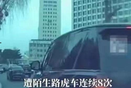 吃瓜路虎事件,揭秘网络舆论背后的真相与反思-第3张图片-网曝911黑料热点事件 吃瓜路虎事件,揭秘网络舆论背后的真相与反思-第3张图片-网曝911黑料热点事件
